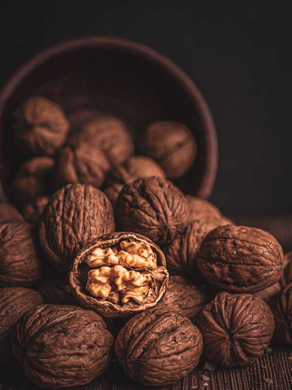 انواع گردو و بررسی
