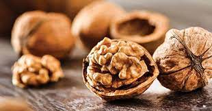 انواع گردو و راهنمایی های لازم