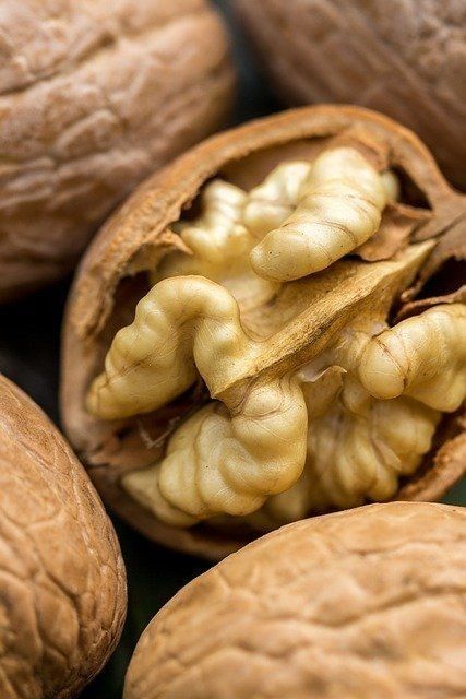تاریخچه گردو در ایران