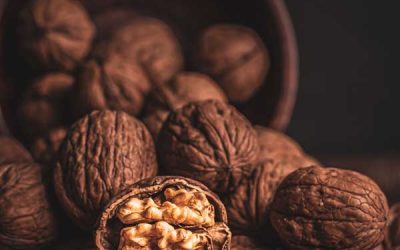انواع گردو و بررسی