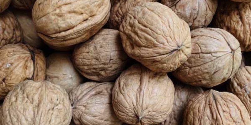 گردو خشک در الو گردو