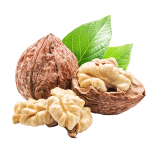 مغز گردوی درجه یک
