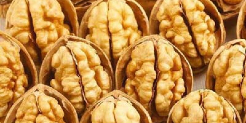 انتخاب مغز گردو