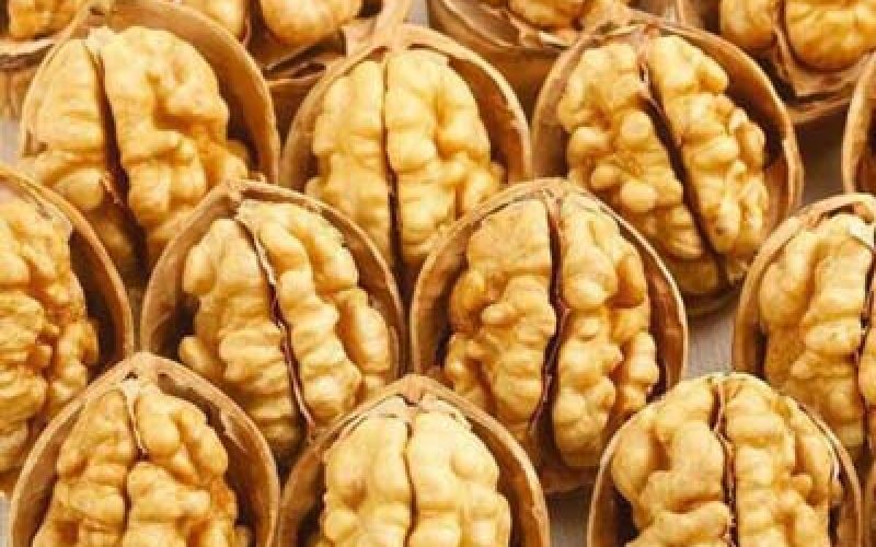 انتخاب مغز گردو